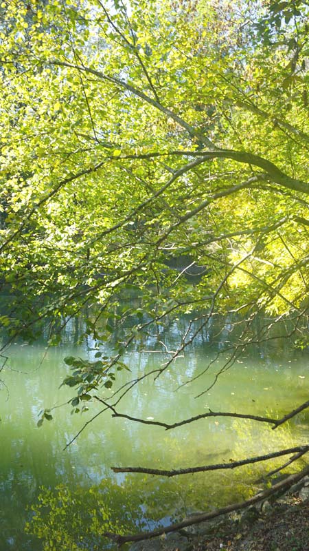 Amper Ufer bei Fürstenfeldbruck