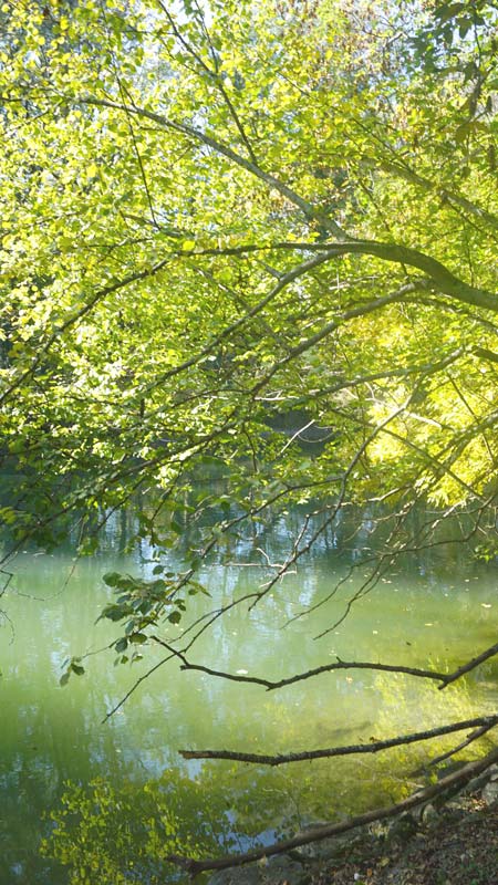 Amper Ufer bei Fürstenfeldbruck