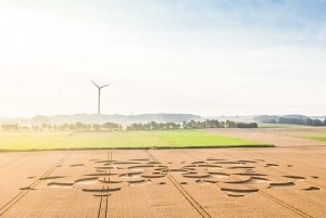 Mammendorf Kreise im Kornfeld