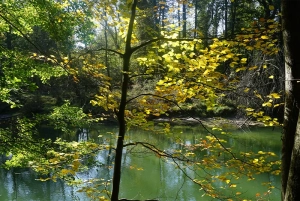 Blick auf die Amper