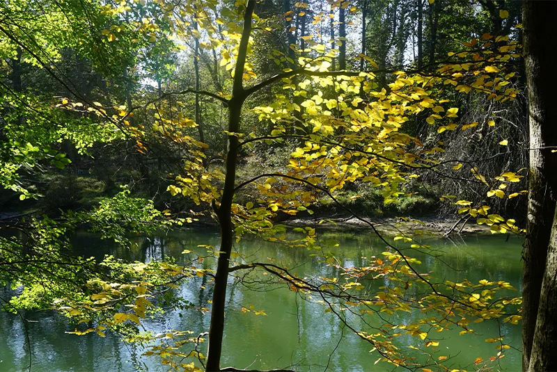 Blick auf die Amper in Fürstenfeldbruck